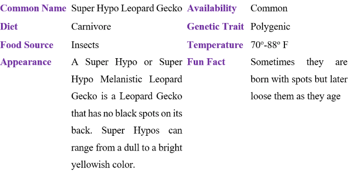 super hypo leopard gecko table