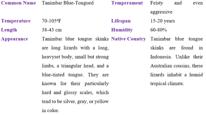tanimbar blue-tongued table