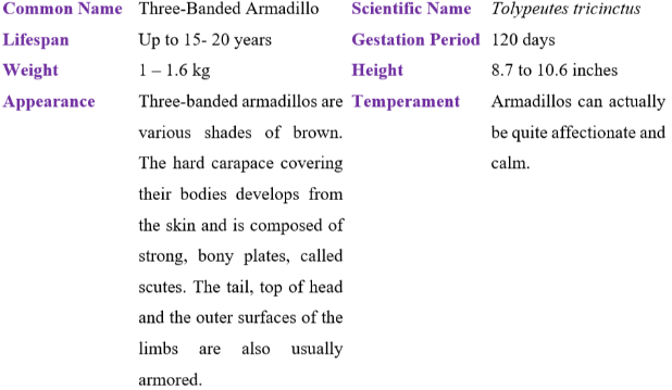three-banded armadillo table