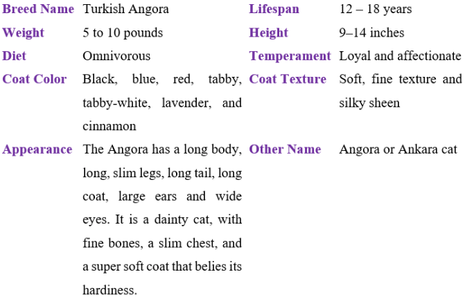 turkish angora table