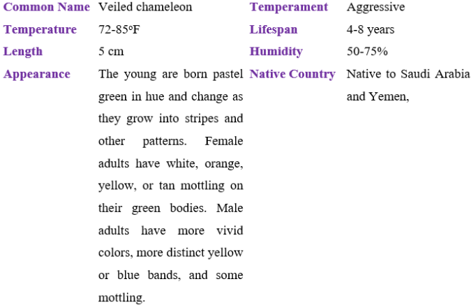 veiled chameleon table