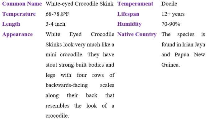 white-eyed crocodile skink table