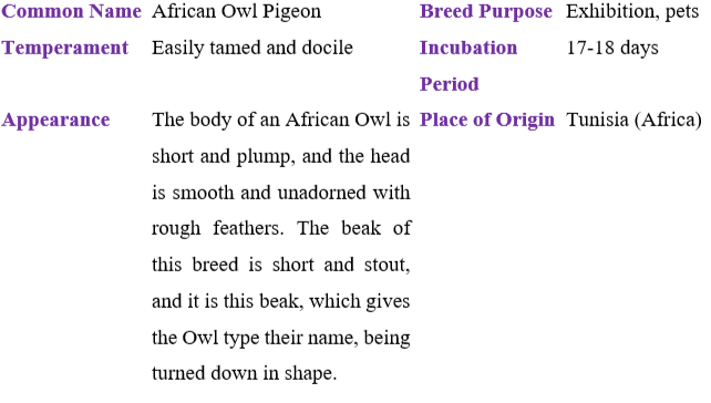 african-owl-pigeon table