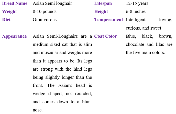 asian-semi-longhair-cat table
