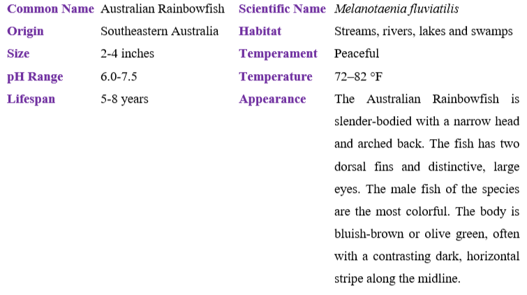 australian-rainbowfish table