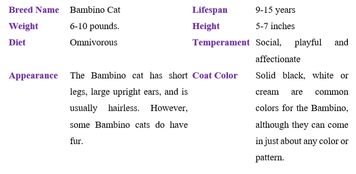 bambino-cat table