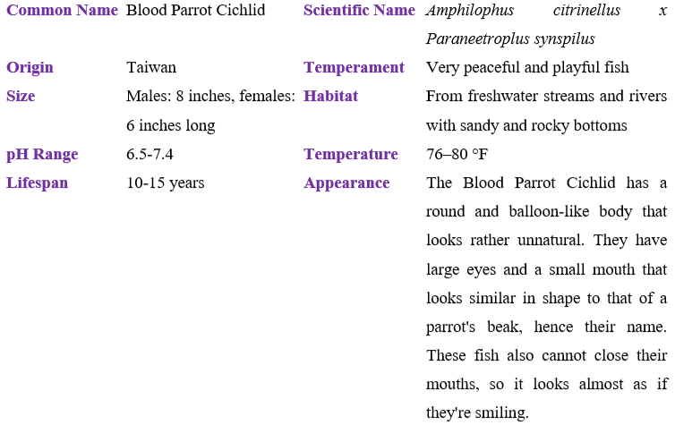 blood-parrot-cichlid table