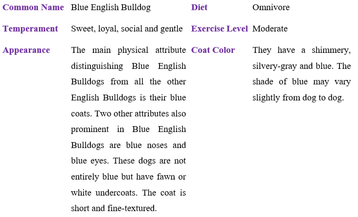 blue-english-bulldog table
