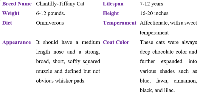 chantilly-tiffany-cat table