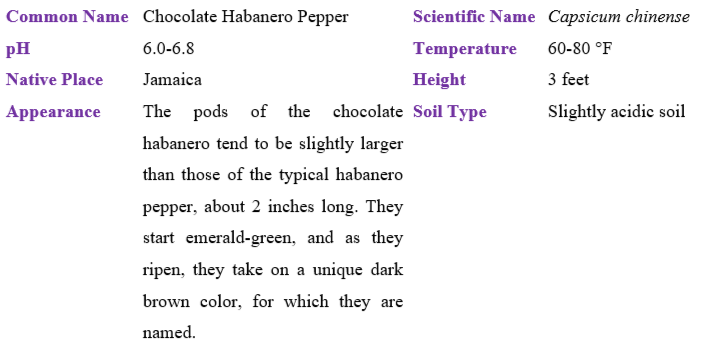 chocolate-habanero-pepper table
