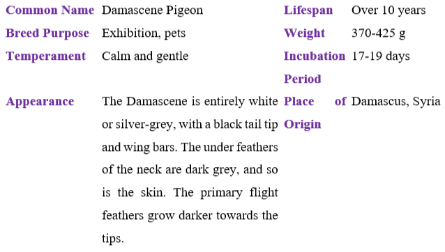 damascene-pigeon table