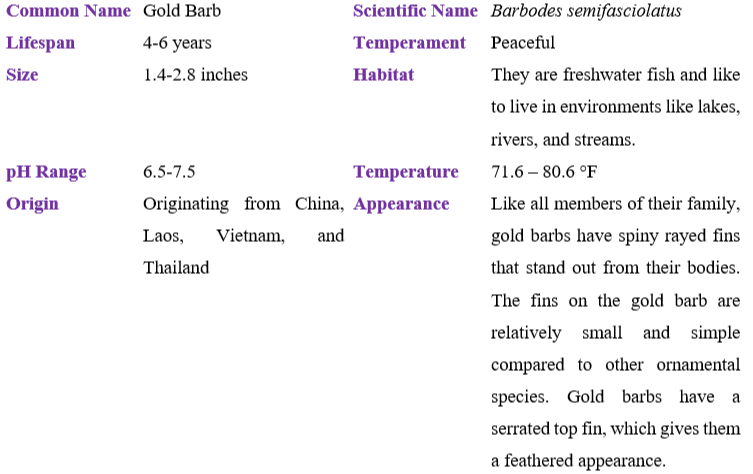 gold-barb table
