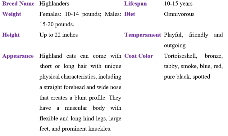 highlander table