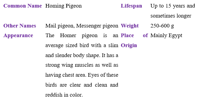 homing-pigeon table