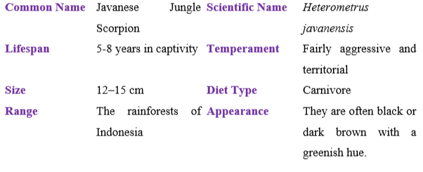 javanese-jungle-scorpion table