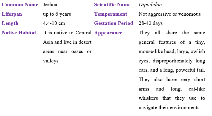jerboa table