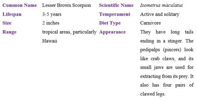 lesser-brown-scorpion table