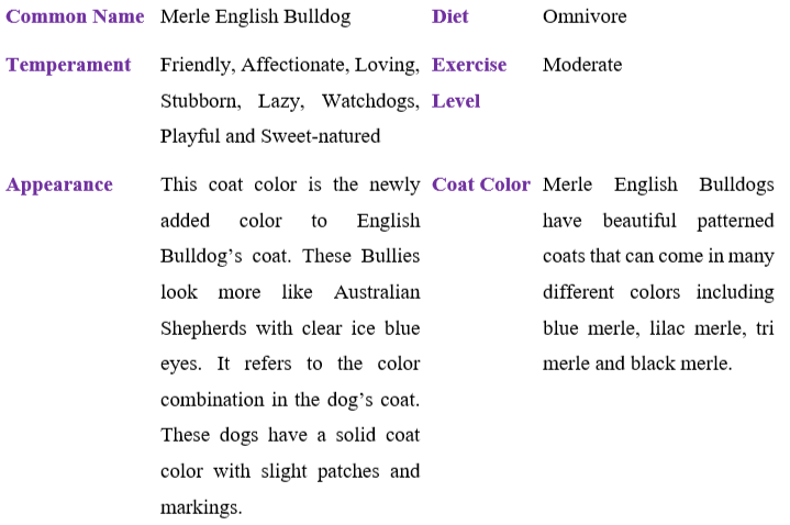 merle-english-bulldog TABLE