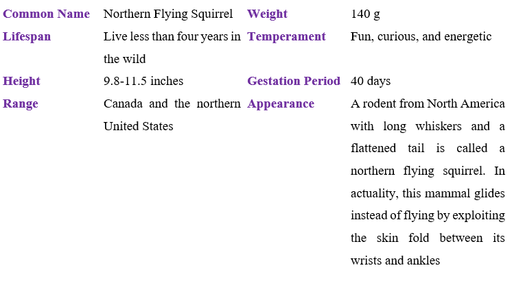 northern-flying-squirrel table