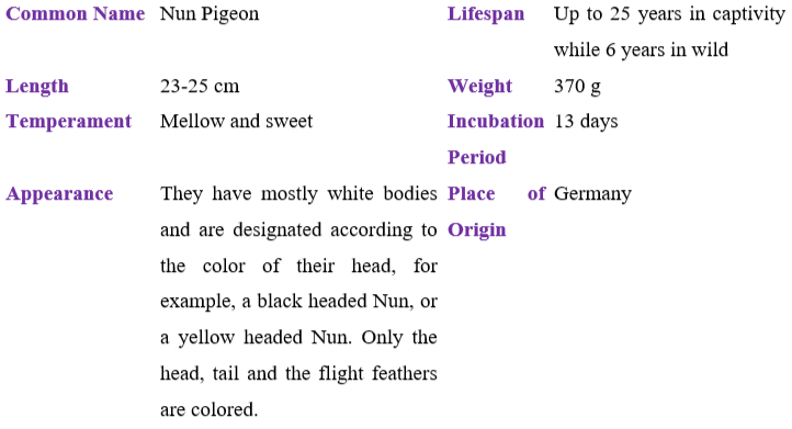 nun-pigeon table