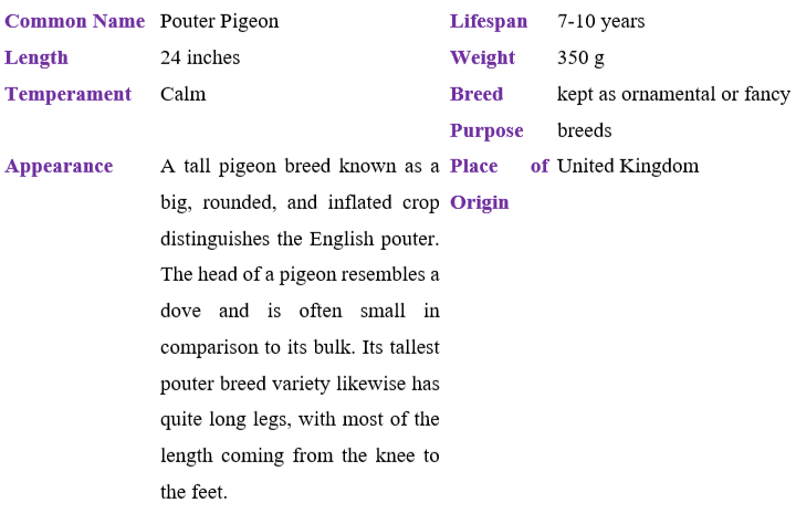 pouter-pigeon table