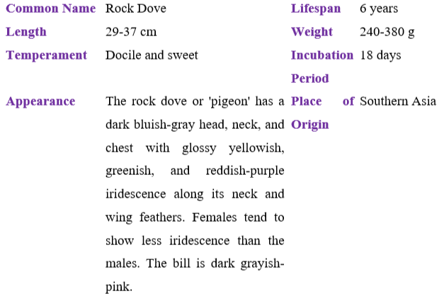 rock-dove table