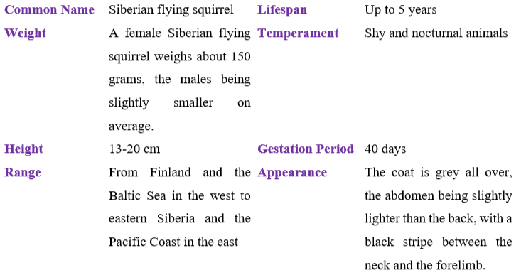 siberian-flying-squirrel table