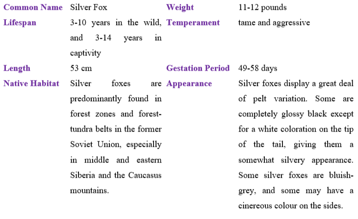 silver-fox table