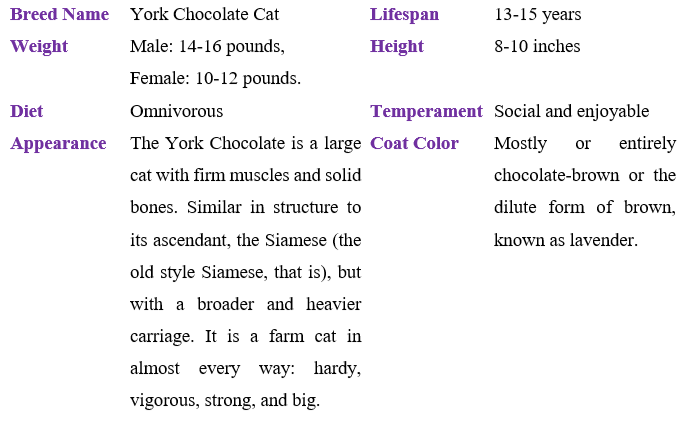 york-chocolate-cat table