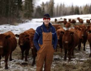 beef-farmers.