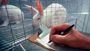 exotic-pet-research-and-education