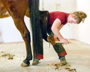 hoof-trimming-and-farrier-services