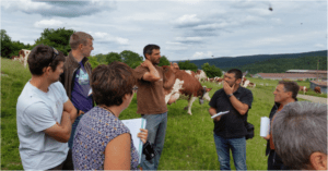 livestock-farm-consultant-and-advisory-services.