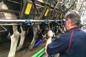 milking-services.