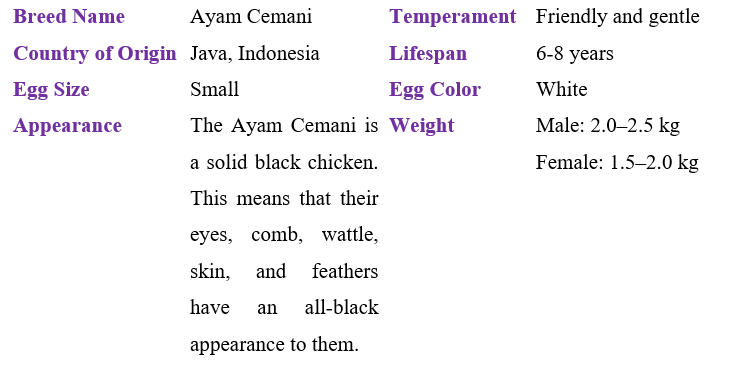 ayam-cemani-table