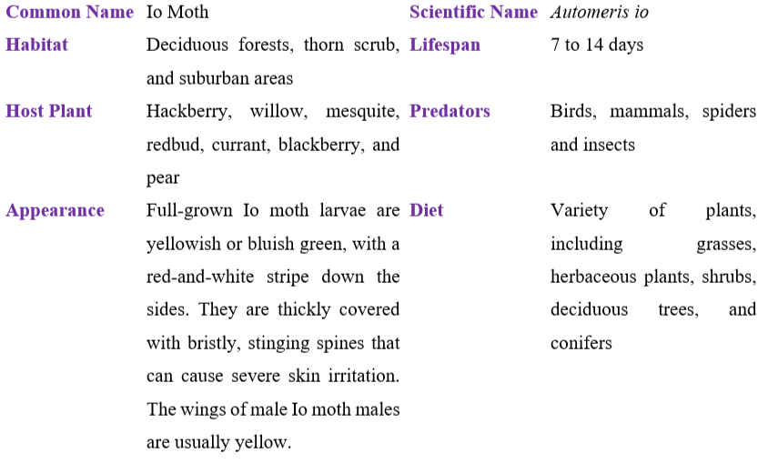 io-moth-table