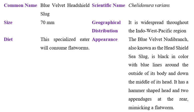 blue-velvet-headshield-slug-table