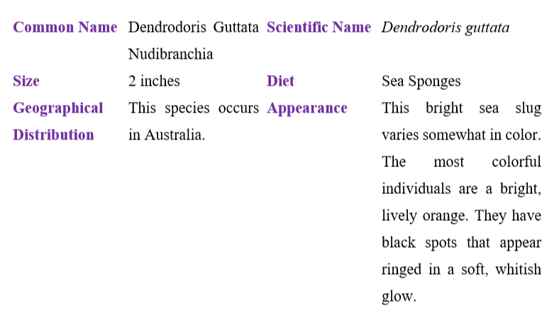 dendrodoris-guttata-table