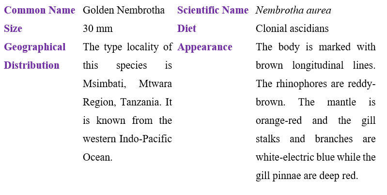 nembrotha-aurea-table