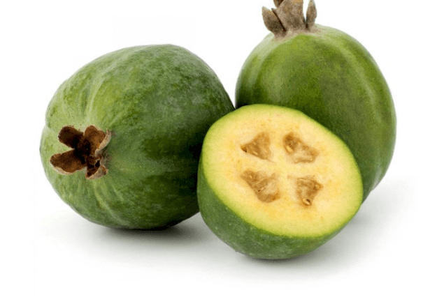 feijoa.