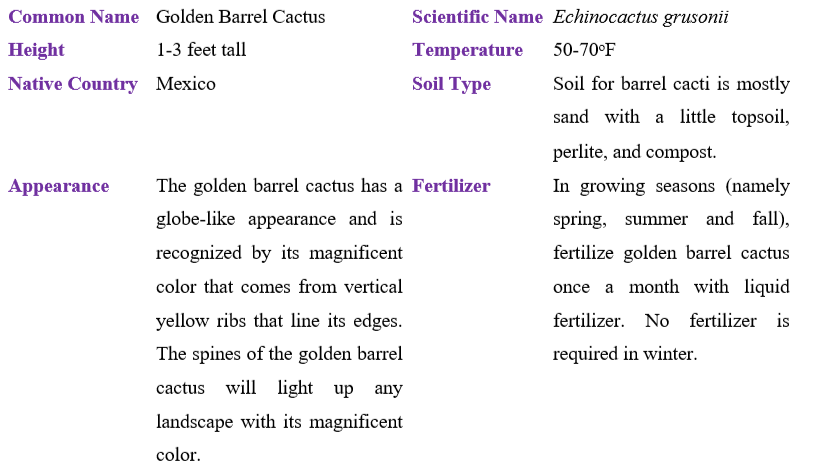 golden-barrel-cactus-table