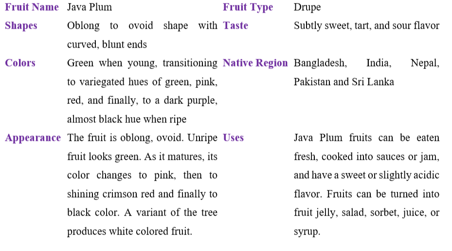 java plum table
