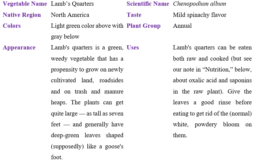 lamb's-quarters-table