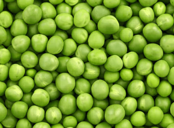 pea.