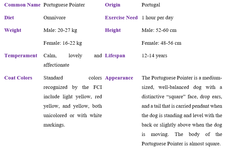 portuguese-pointer-table