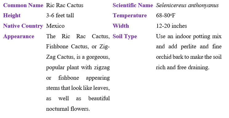 ric-rac-cactus-table