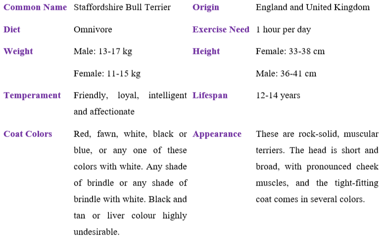 staffordshire-bull-terrier-table