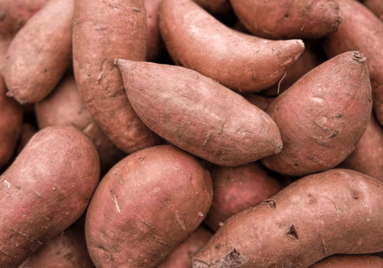 sweet-potato.