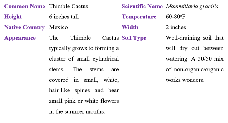 thimble-cactus-table