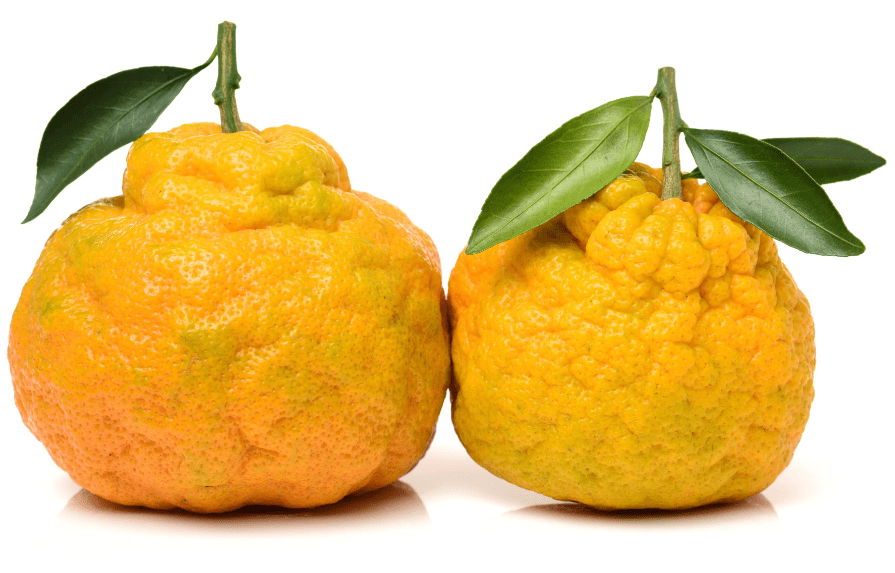 ugli-fruit.